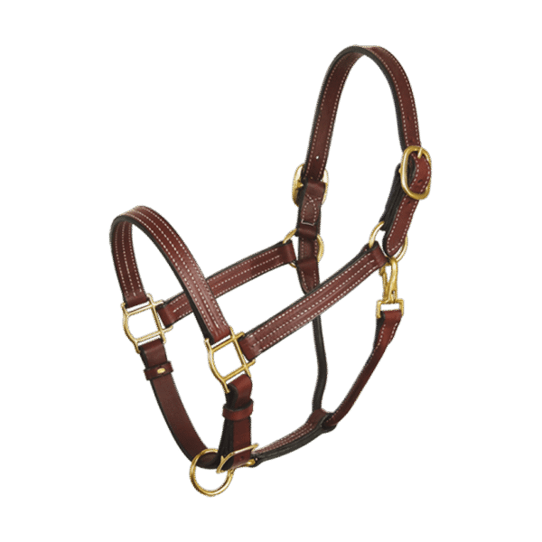 Horse Halter