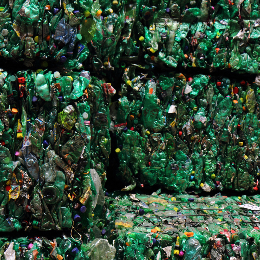 Pet Reciclado - Imagem 3