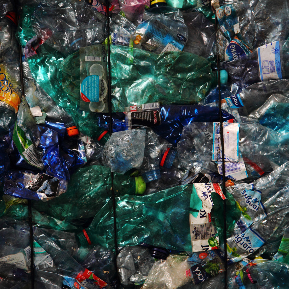 Pet Reciclado - Imagem 4